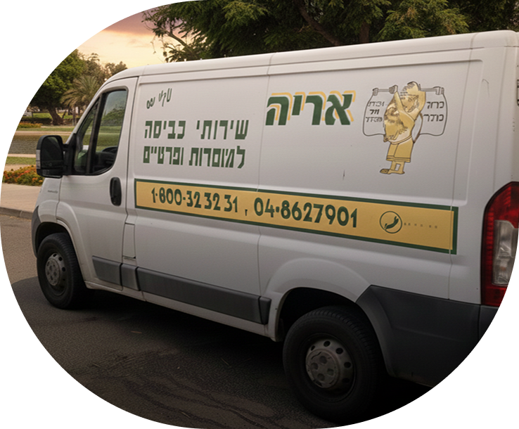 אריה שירותי כביסה אודות